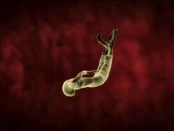 Extreme Close Up push-out tracking-right - A filariasis worm wiggles inside intestines in a computer-generated animation. Stock Footage