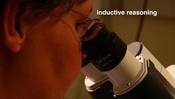 Reviewing the Scientific Method Instructional Video