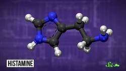 Can You Be Allergic To Sunlight? Instructional Video