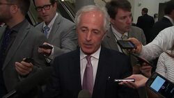 Senator: "Renewed energy" in fight against IS Instructional Video