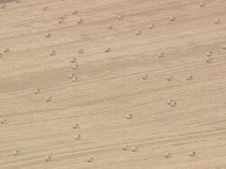 Picardy Farmland Stock Footage