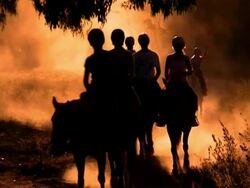 Horseback Riding At Sunset Stock Footage