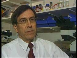 RR0208/A  UK: Stem Cell Research Instructional Video