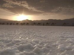 WS  View of salt flat surface with camel caravan / Republic of Djibouti Stock Footage