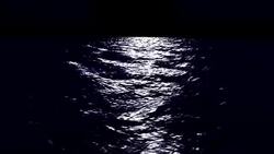 Waves in the moonlight Stock Footage