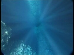 Snorkler swimming in sunbeams through water, MS, Tonga Stock Footage