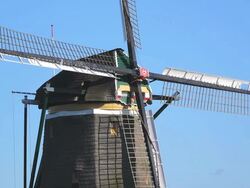 MS Shot of windmills near Leidschendam / South Holland, Netherlands Stock Footage