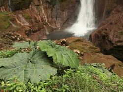 Tranquil waterfall Stock Footage