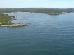 WS ARIEAL View of Wooded area at Island / Maine, United States Stock Footage