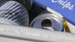 Overflowing rubbish bin in Margate News Clip