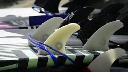 CLEAN : World surf tournament to be held in Costa Ricas Zika hotspot News Clip