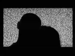 Auditing Stock Footage