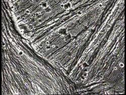 USA - New Pictures Of Ganymede News Clip