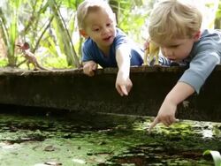 LA Two young boys laying on bridge point to the water. Stock Footage