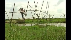 Villager Walking Over Monkey Bridge with a Cycle News Clip