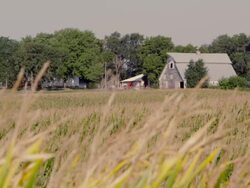 Wheat Farm Stock Footage
