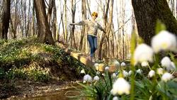 DS Woman crossing a creek over tree trunk Stock Footage