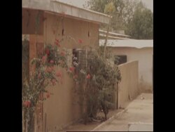 RR8115B CHAD REPORT News Clip