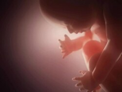 Medical video background. Fetus animation on pink with backlight. Stock Footage