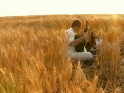 CRANE: Romance In Wheat Stock Footage