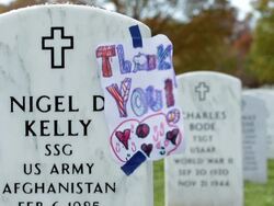 Veteran's Day Observed At Arlington National Cemetery Stock Footage