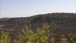 Shrubs blanket a barren desert. Stock Footage
