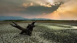 timelapse:cracked earth near dry lake in dry season Stock Footage