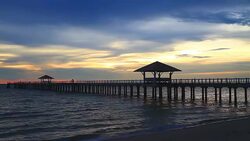 bridge Stock Footage