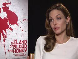 INTERVIEW: Angelina Jolie on being a Director/writer, writing the story, Brad Pitt reading the script In The Land of Blood and Honey Interviews: 62nd Berlinale International Film Festival at Hotel Adlon on February 10, 2012 in Berlin, Germany. Stock Footage