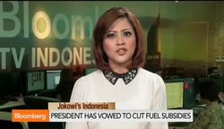 Indonesia's New Cabinet Formally Inaugurated News Clip