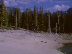 Horseshoe Lake Stock Footage