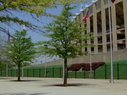 MS TU View of sports stadium, many flags/ Pittsburgh, Pennsylvania, USA  Stock Footage
