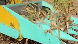 Harvesting Corn Stock Footage