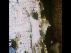 SYND 11 5 78 TRADITIONAL CHINESE BUN TOWER FESTIVAL News Clip