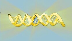 Genetic sleuthing bolsters food poisoning searches - Animation News Clip