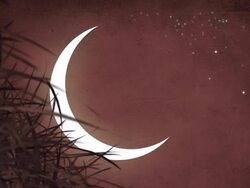 Moon And Mystical Night Stock Footage