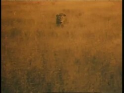 Film-maker George Eastman goes on safari in Africa with game hunter Osa Johnson. News Clip