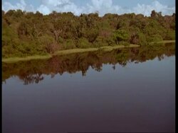 WA Aerial view tilt up from river to rainforest, Amazon Stock Footage
