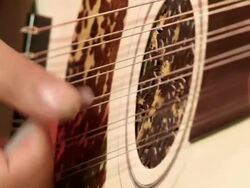 Oud Player Close up Stock Footage