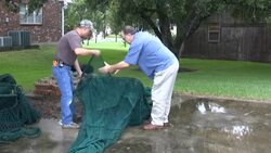 Shrimpers say new rules to protect turtles threaten their business News Clip