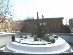 ATMOSPHERE: General Views: 62nd Berlinale International Film Festival on February 8, 2012 in Berlin, Germany. (Footage by WireImage Video/Getty Images) Stock Footage