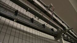 Jars of frankfurters move along a conveyor. Stock Footage