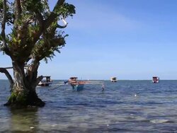 Boats at Anchor Stock Footage