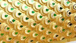 Snake Scales Stock Footage