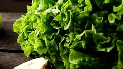 Cherry tomatoes Stock Footage