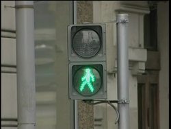 Horses painted as zebras help teach children road safety News Clip