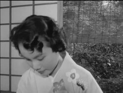 Japanese women perform tea ritual Stock Footage