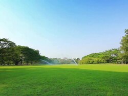 Sprinkler working at green grass field in beautiful day Stock Footage
