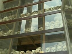 Tilt Down Shot Skull in Killing Fields Phnom Penh Cambodia Stock Footage