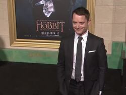 Elijah Wood at 'The Hobbit: The Battle of the Five Armies' Los Angeles Premiere Stock Footage